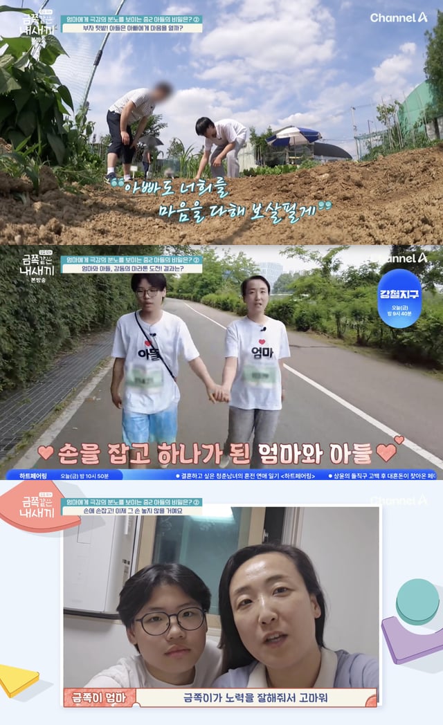 /사진='금쪽같은 내 새끼' 방송화면 캡쳐