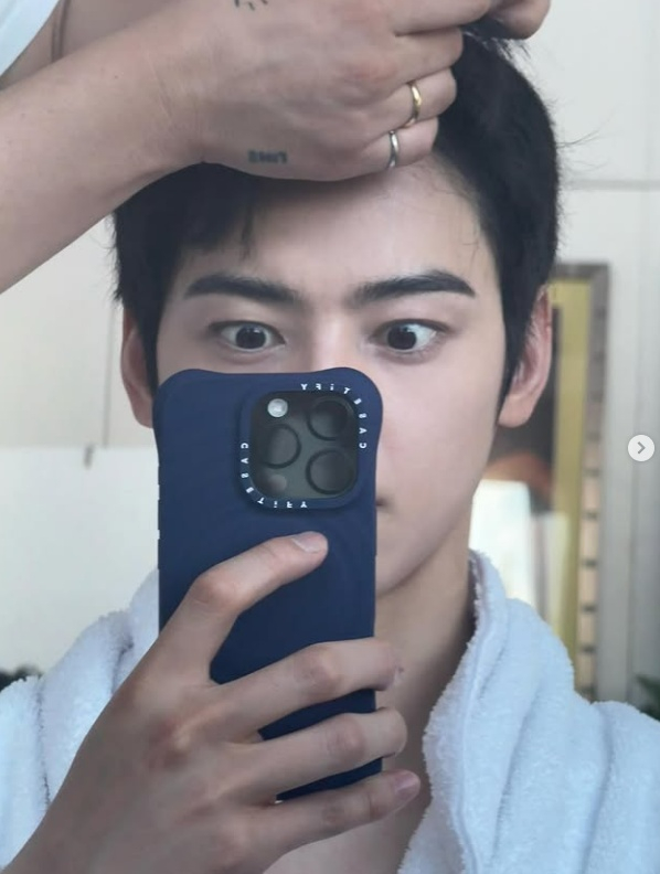 /사진=차은우