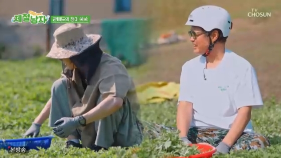 /사진= TV조선 '제철남자' 방송화면