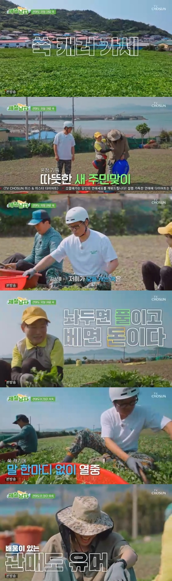 /사진= TV조선 '제철남자' 방송화면