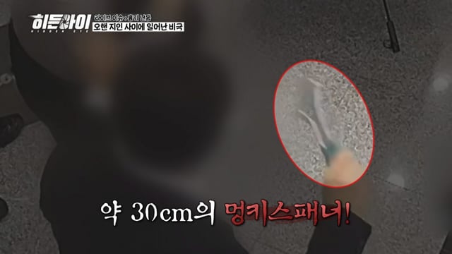 /사진제공=MBC플러스