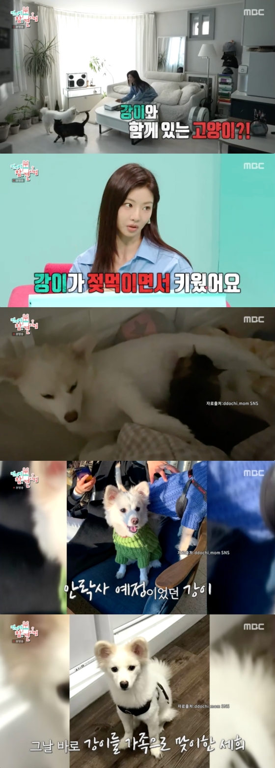 /사진=MBC 방송화면