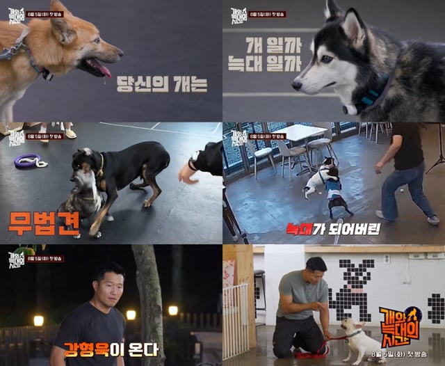 '개와 늑대의 시간'