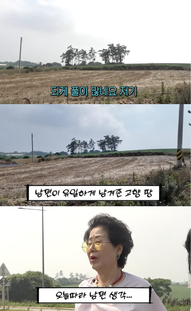 /사진='순풍 선우용여' 영상화면 캡쳐