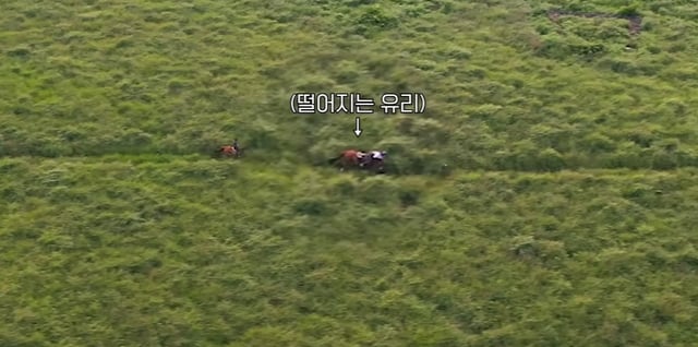 /사진=권유리 유튜브