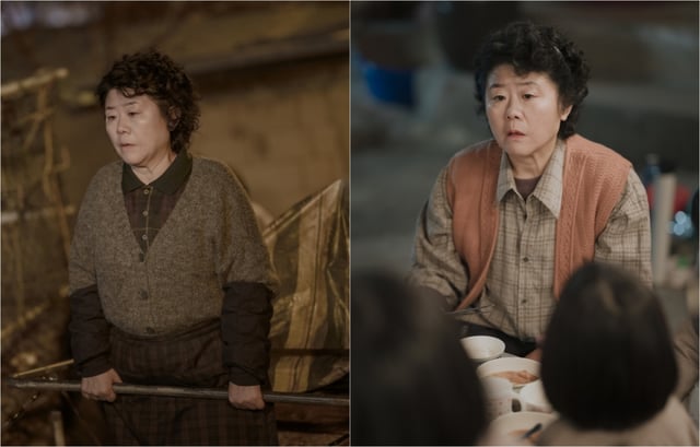 이정은 /사진=JTBC '백번의 추억'