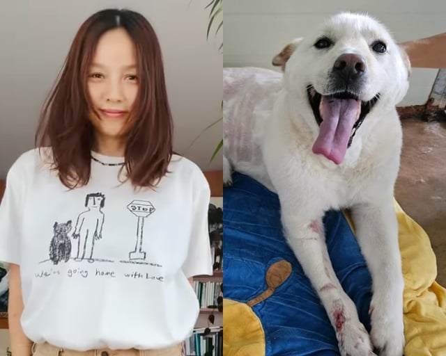 /사진=이효리 SNS