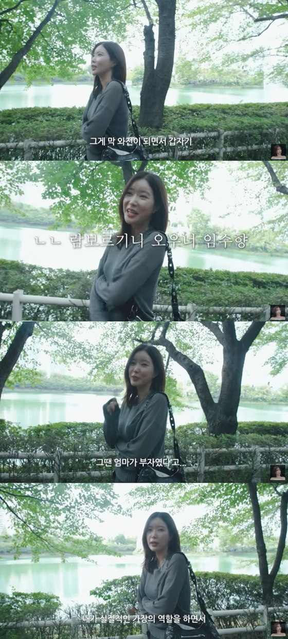 /사진=유튜브 채널 '임수향무거북이와두루미' 캡처