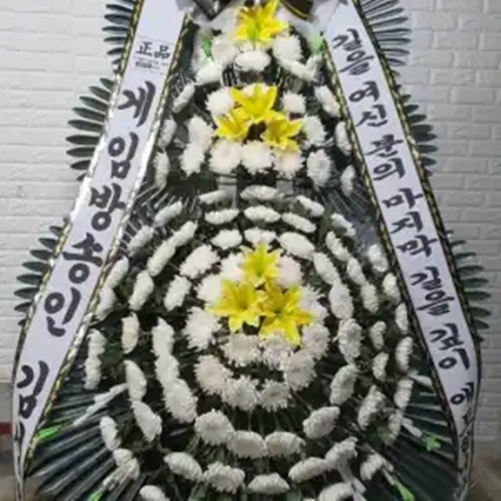 /사진=유튜브 채널 '김성회의 G식백과'