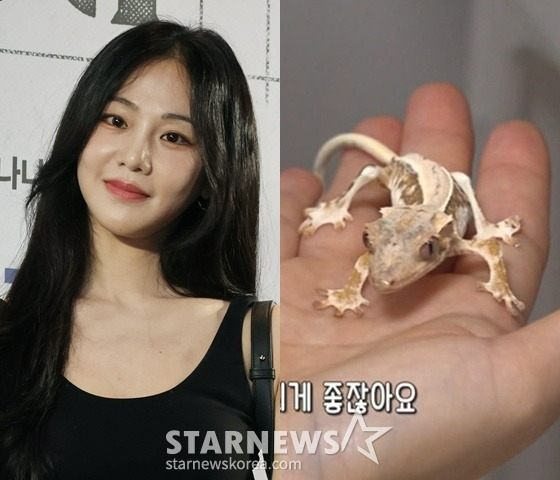 /사진=스타뉴스, MBC '전지적 참견 시점' 방송 캡처
