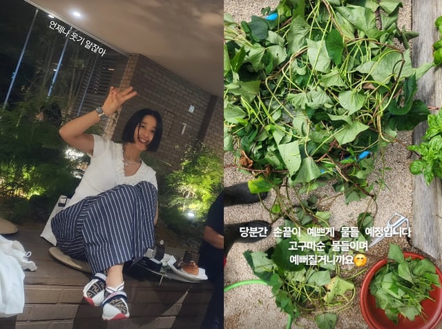 /사진=마야 SNS