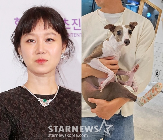 /사진=스타뉴스, 공효진 SNS