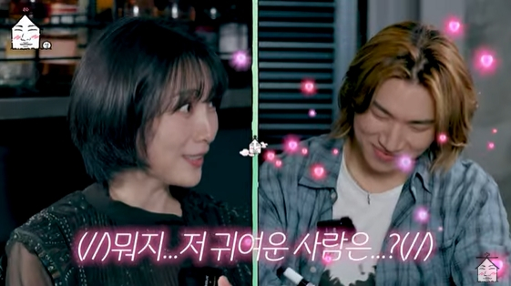 /사진=유튜브 채널 '집대성' 방송화면
