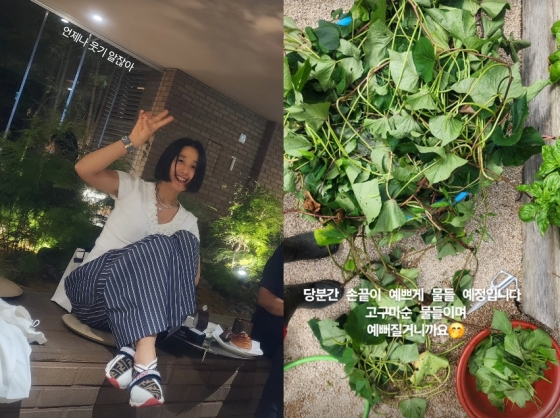 /사진=마야 SNS