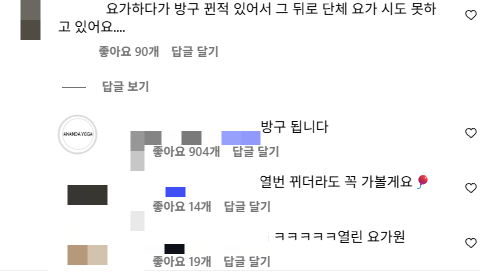 /사진=아난다 SNS