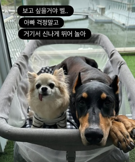 /사진=산체 SNS