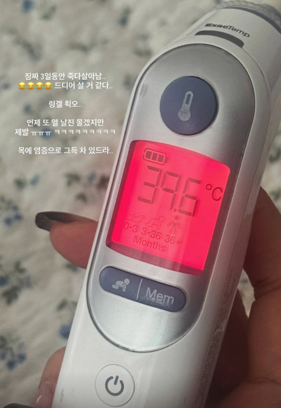 /사진=자이언트 핑크 SNS