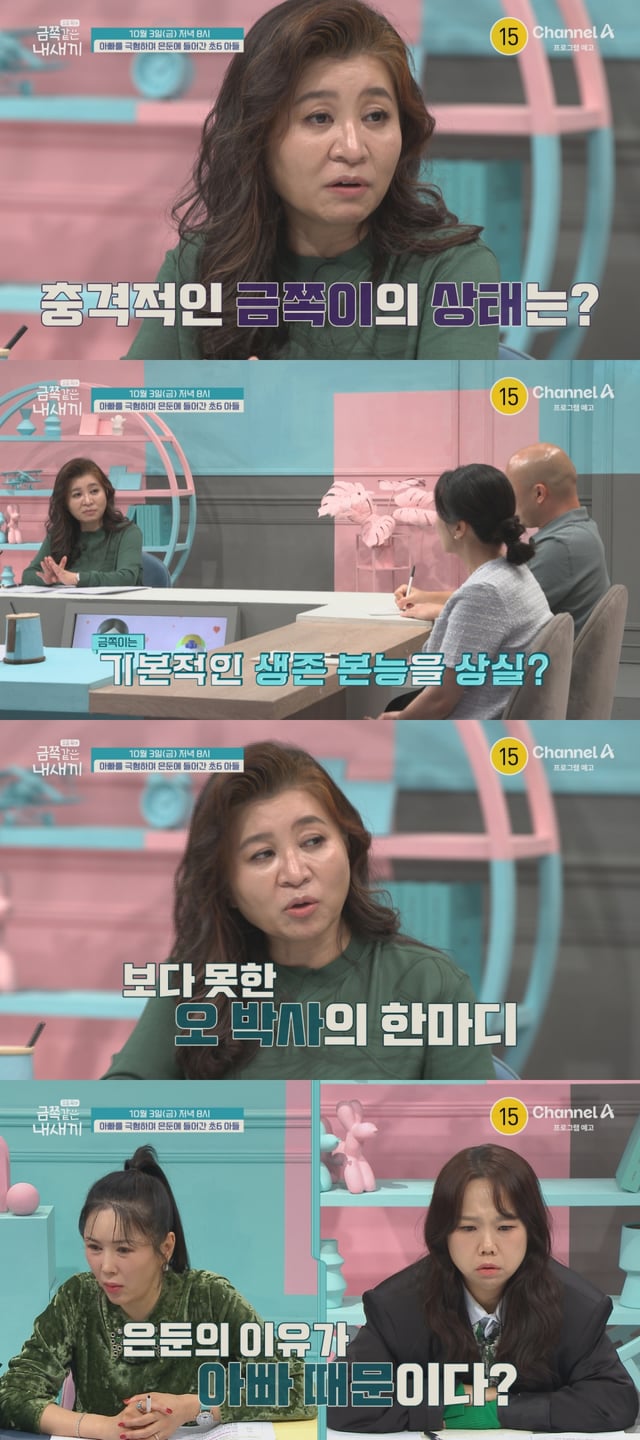 /사진=채널A