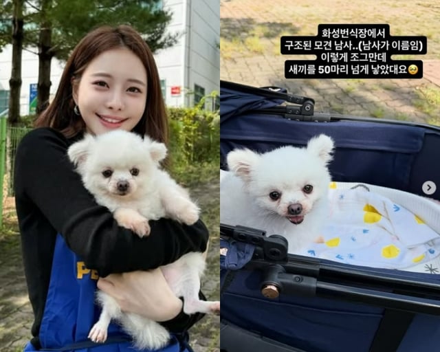 /사진=아옳이 SNS