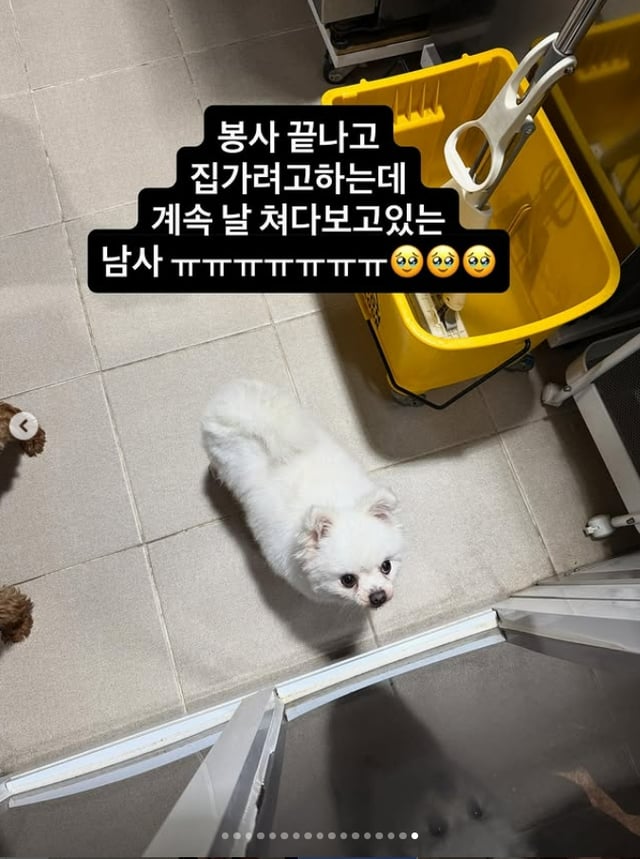 /사진=아옳이 SNS