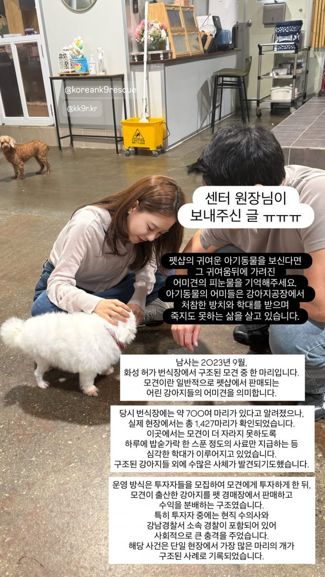/사진=아옳이 SNS