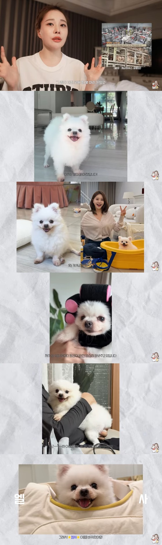 /사진=유튜브 아옳이