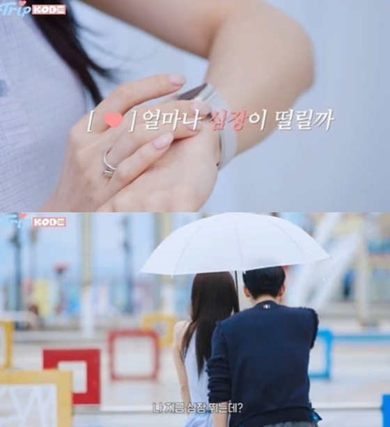 /사진=유튜브 채널 '코드' 캡처
