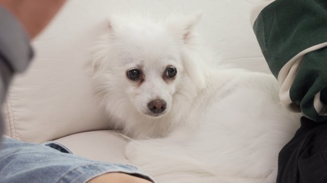 /사진=채널A