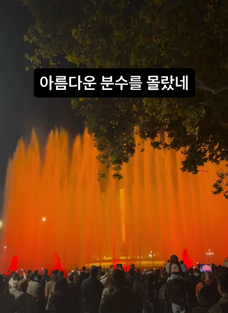 /사진=곽튜브 SNS