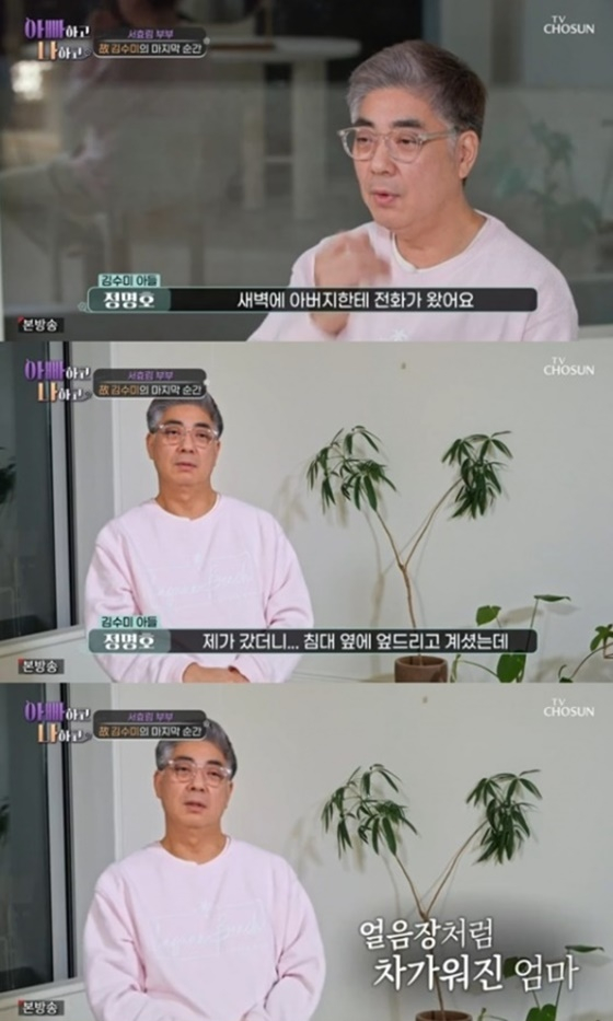 고 김수미 아들 정명호/사진=TV조선