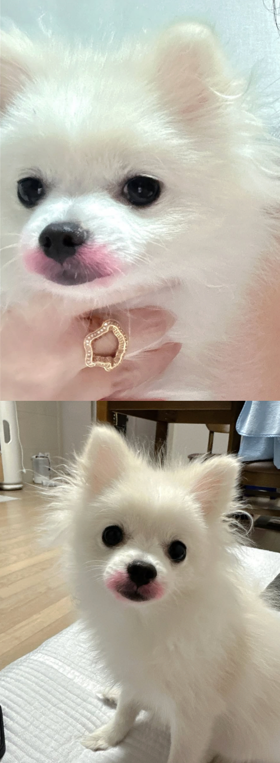 /사진=박봄 SNS