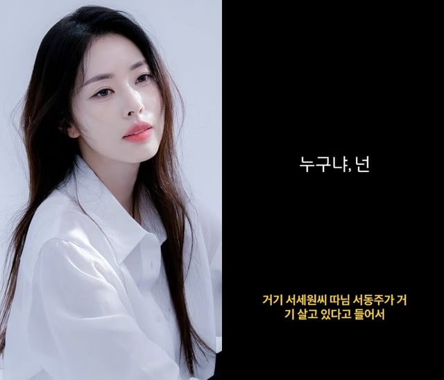 /사진=서동주 SNS