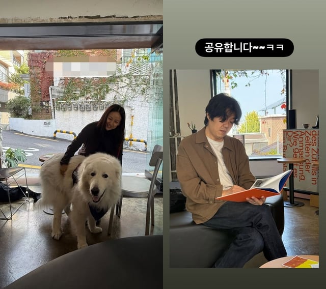 /사진=이효리 SNS