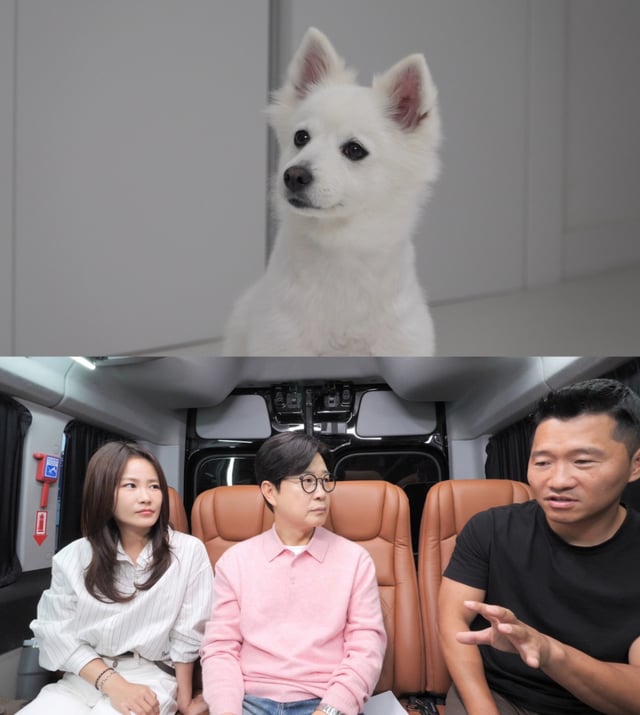 /사진제공=SBS