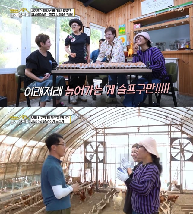 /사진=KBS 2TV '박원숙의 같이 삽시다' 방송 캡처