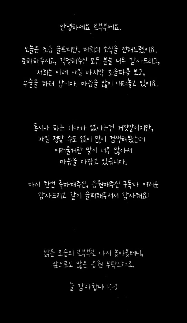 /사진=유튜브 채널 '로부부' 영상 캡처