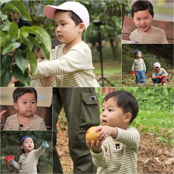 /사진제공=KBS 2TV '슈퍼맨이 돌아왔다'