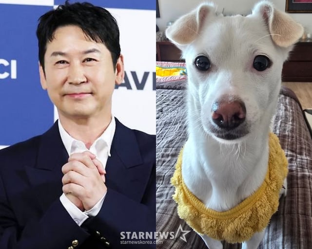 방송인 신동엽, 반려견 크림 /사진=스타뉴스, SNS