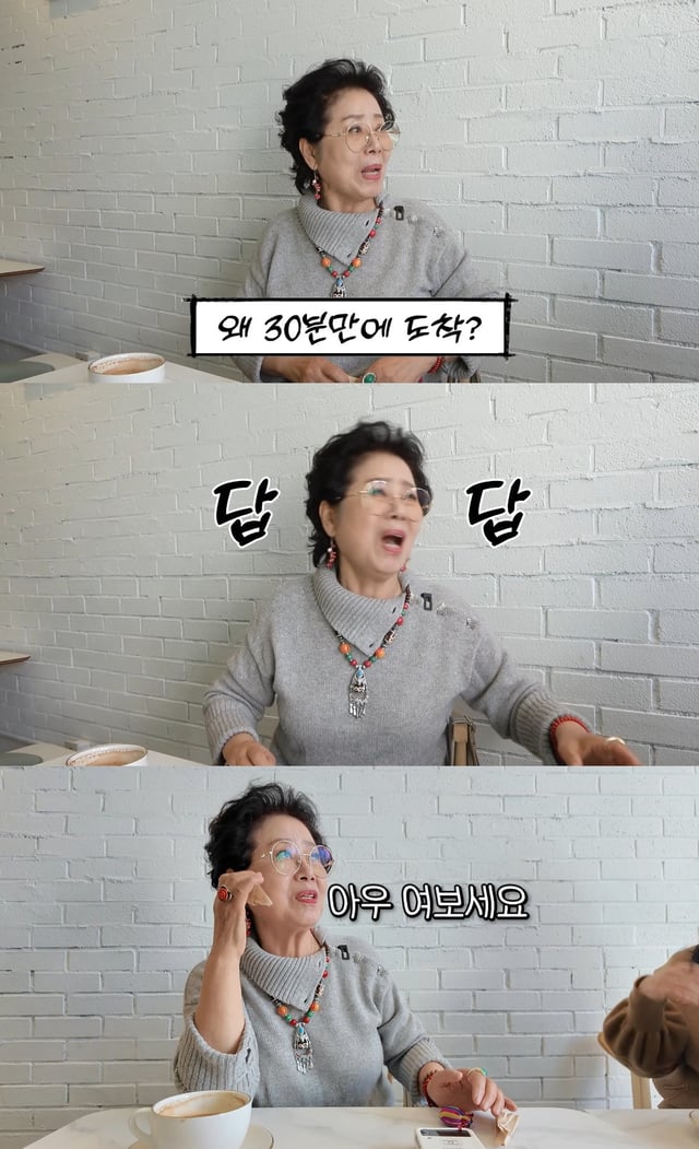/사진=유튜브 채널 '순풍 선우용여' 영상 캡처