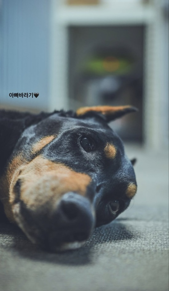 /사진=배정남 SNS