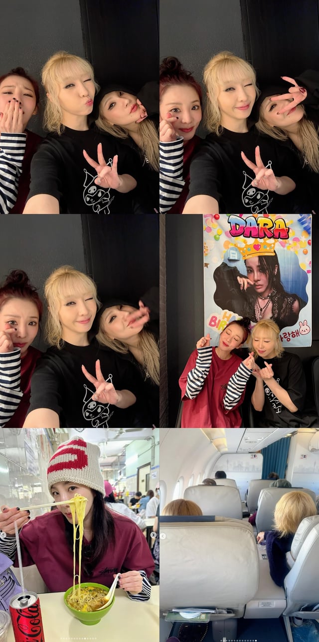 /사진=산다라박 SNS