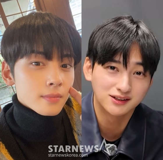 왼쪽부터 차은우, 이동휘 형제 /사진=유튜브 채널 '세바시 강연' 영상 ㅐㅂ처