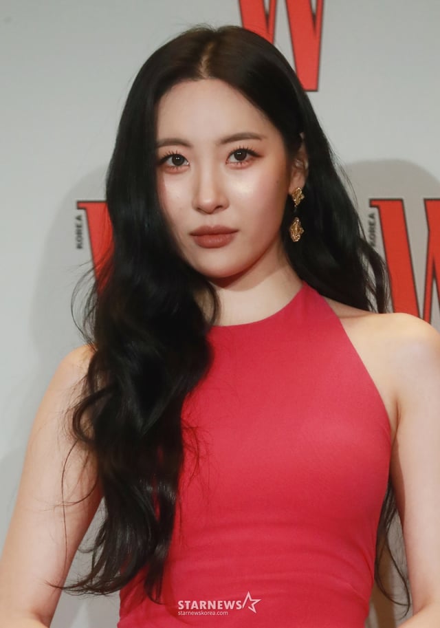 가수 선미 /사진=이동훈