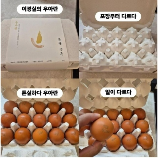 이경실의 난각번호 4번 달걀 /사진=조혜련 인스타그램