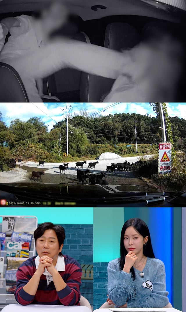 /사진제공=JTBC