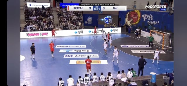 링티 H리그 경기장 바닥 광고 및 LED 광고 모습. /사진=한국핸드볼연맹 제공