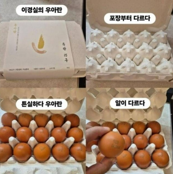 이경실이 판매 중인 달걀 /사진=조혜련 SNS