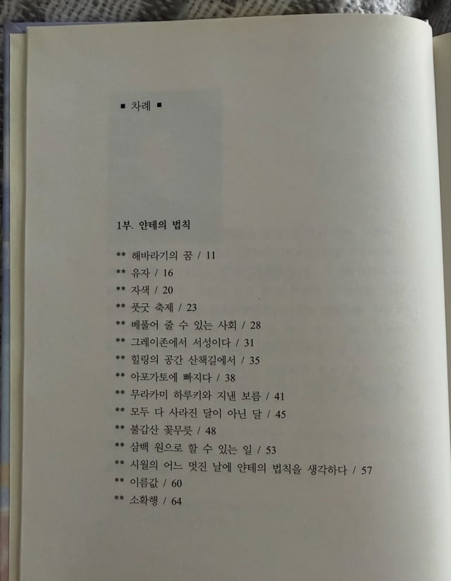 /사진=효민 SNS