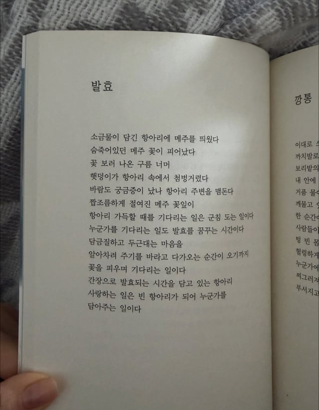 /사진=효민 SNS