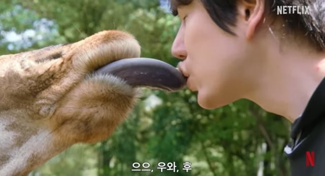 규현 /사진=넷플릭스
